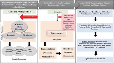 Systems Biology Approaches and Precision Oral Health: A Circadian Clock Perspective